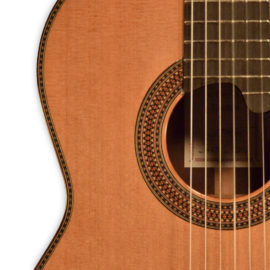 Altamira L'Orfeo Classical Guitar. Cedar & Madagascar Rosewood.
