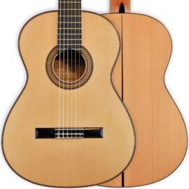 2009 Antonio Marín Montero (flamenca)