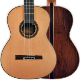 Paco Santiago Marín 2009 (Spruce)